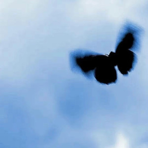 浙江女毛片女声音
